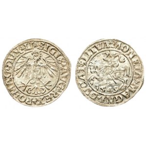 Lithuania 1/2 Grosz 1549 Sigismund II Augustus (1545-1572). Lithuanian coins Vilnius...