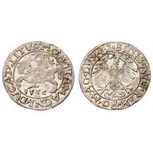 Lithuania 1/2 Grosz 1556 Vilnius. Sigismund II Augustus (1545-1572) - Lithuanian coins Vilnius. LI ...