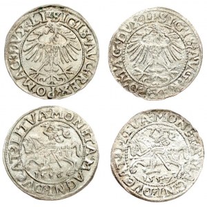 Lithuania 1/2 Grosz 1556 & 1557 Sigismund II Augustus (1545-1572). Lithuanian coins Vilnius. Silver...