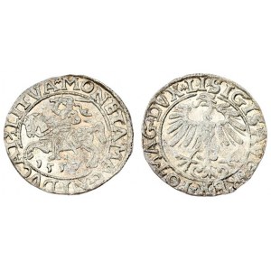 Lithuania 1/2 Grosz 1557 Vilnius. Sigismund II Augustus (1545-1572) - Lithuanian coins Vilnius. LI ...