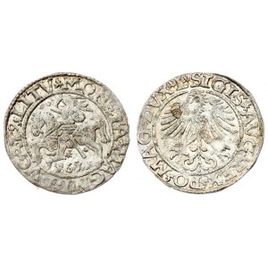 Lithuania 1/2 Grosz 1561 Vilnius. Sigismund II Augustus (1545-1572) - Lithuanian coins Vilnius. L...