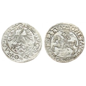 Lithuania 1/2 Grosz 1561 Sigismund II Augustus (1545-1572 )- Lithuanian coins Vilnius...