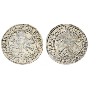 Lithuania 1/2 Grosz 1564 Vilnius. Sigismund II Augustus (1545-1572) - Lithuanian coins Vilnius. L...