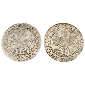 Lithuania 1/2 Grosz 1565 Vilnius. Sigismund II Augustus (1545-1572) - Lithuanian coins Vilnius. L...