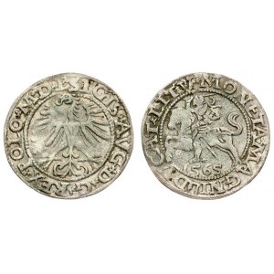Lithuania 1/2 Grosz 1565 Sigismund II Augustus (1545-1572). Lithuanian coins Vilnius; L ...