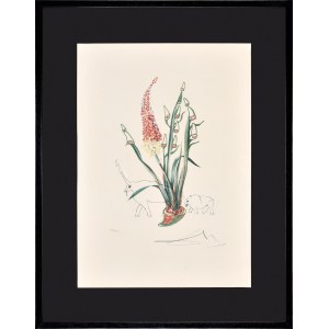 Salvador Dali (1904-1989), Z cyklu Florals: Kniphofia aphrodisiaca [Stado nosorożców], 1972