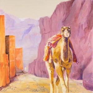 Mariusz Kitowski, In Petra Alone