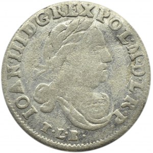 Jan III Sobieski, szóstak 1683 TLB, Bydgoszcz, herb Leliwa, 12 klejnotów w koronie