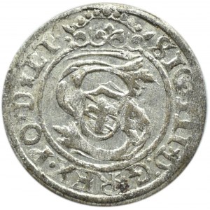 Zygmunt III Waza, szeląg, 1599, Ryga, ładny