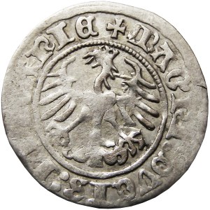 Zygmunt I Stary, półgrosz 1511, Wilno, ładny