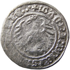 Zygmunt I Stary, półgrosz 1515, Wilno, SIGIS:MVNDI (RRR)