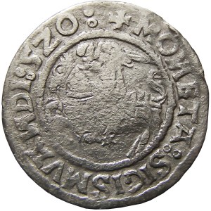 Zygmunt I Stary, półgrosz 1520, Wilno, SIGISMVANDI 5Z0 (RRR)