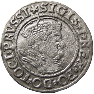 Zygmunt I Stary, grosz 1535, Toruń, PRVSSI/PRVSSIE