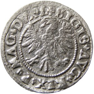 Zygmunt II August, półgrosz 1546, Wilno (R3)