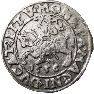 Zygmunt II August, półgrosz 1556, Wilno, NIENOTOWANY