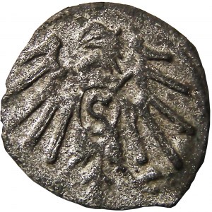 Prusy Książęce, Albrecht, denar pruski, Królewiec, (R3), ładny