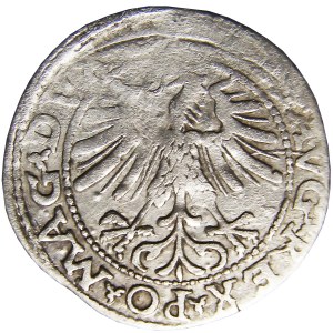 Zygmunt II August, półgrosz 1563, Wilno, LIT - rzadki