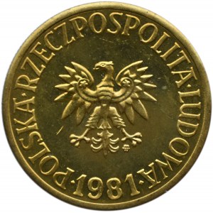 Polska, PRL, 5 złotych 1981, Warszawa, IDEALNE, UNC