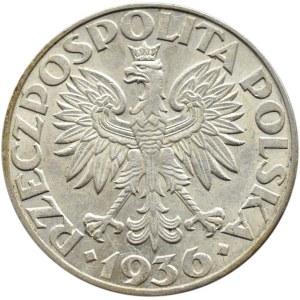 Polska, II RP, Żaglówka, 5 złotych 1936, Warszawa