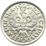 Polska, II RP, 20 groszy 1923, Warszawa, głębokie bicie