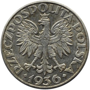 Polska, II RP, Żaglówka, 2 złote 1936, Warszawa