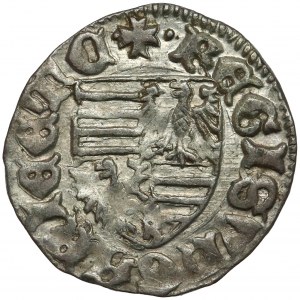 Hungary, Sigismund (1387-1437), Denar