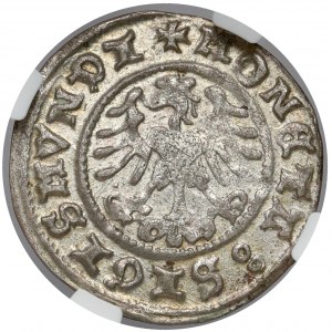 Zygmunt I Stary, Półgrosz Kraków 1509 - piękny