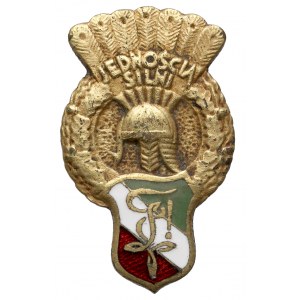 Jednością Silni 1902 XXX 1932 - odznaka