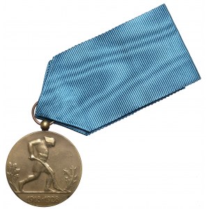 Medal X-lecia Odzyskanej Niepodległości - Bertrand