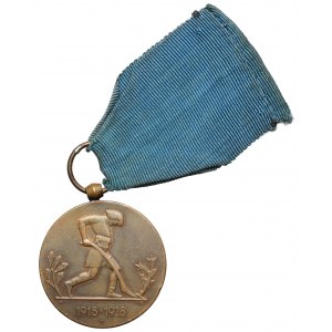 Medal X-lecia Odzyskanej Niepodległości - Mennica Państwowa