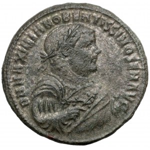Maksymian Herkuliusz Senior Augustus (305-306 n.e.) Follis, Kyzikos
