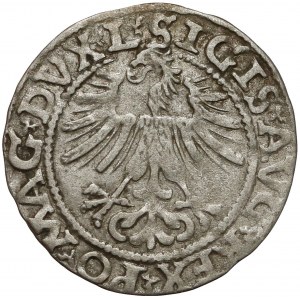 Zygmunt II August, Półgrosz Wilno 1562 - Topór U GÓRY - b.rzadki
