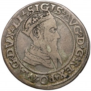 Zygmunt II August, Czworak Wilno 1565 - LI/LITV - rzadki