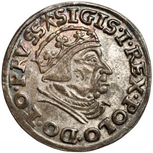 Zygmunt I Stary, Trojak Gdańsk 1539 - bez krzyża - PIĘKNY