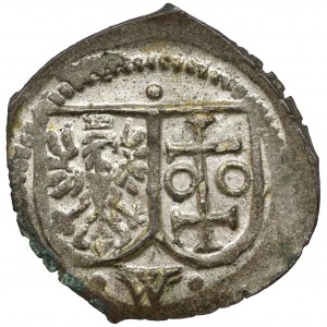Zygmunt III Waza, Denar jednostronny Wschowa BEZ daty - piękny