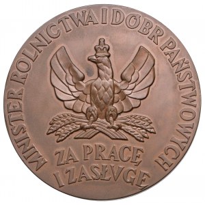 Medal, Za Pracę i Zasługę 1926 - III. klasa (brąz) - w pudełku nadaniowym - piękny i rzadki