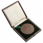 Medal, Za Pracę i Zasługę 1926 - III. klasa (brąz) - w pudełku nadaniowym - piękny i rzadki