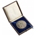 Medal, Za Pracę i Zasługę 1926 - II. klasa (srebrna) - w pudełku nadaniowym - piękny i rzadki