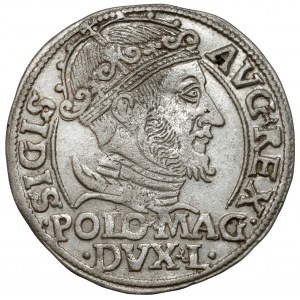 Zygmunt II August, Grosz na stopę polską 1548, Wilno