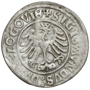 Zygmunt I Stary, Grosz Głogów 1506