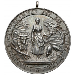 Medal SREBRO, Izba Rolnicza Prowincji Poznańskiej, XIX wiek