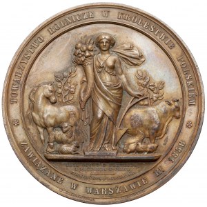 Medal, Towarzystwo Rolnicze w Królestwie Polskim 1858 - Brąz