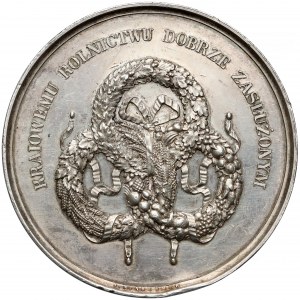 Medal, Towarzystwo Rolnicze w Królestwie Polskim 1858 - SREBRO