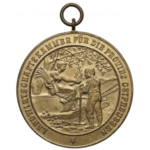 Medal, Izba Rolnicza Prowincji Prusy Wschodnie