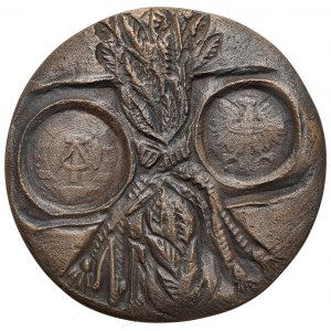 Medal, 20 lat Ośrodka Informacji i Kultury Polskiej w Berlinie (DDR)