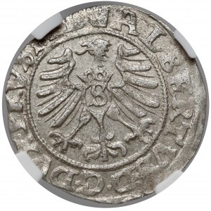 Prusy, Albrecht Hohenzollern, Szeląg Królewiec 1557