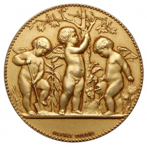 France, GOVIGNON, Médaille Société d' Horticulture, Moulins - GOLD 1913