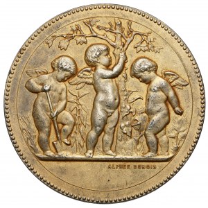 Francja, GOVIGNON, Medal Société d' Horticulture, Moulins - SREBRO złocone 1910