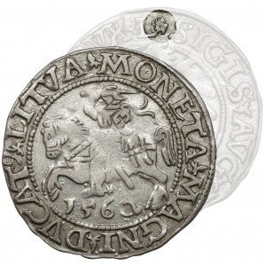 Zygmunt II August, Półgrosz Wilno 1560 - ROZETA - LITVA