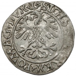 Zygmunt II August, Półgrosz Wilno 1560 - ROZETA - LITV